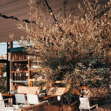 аполония а3 ап.502