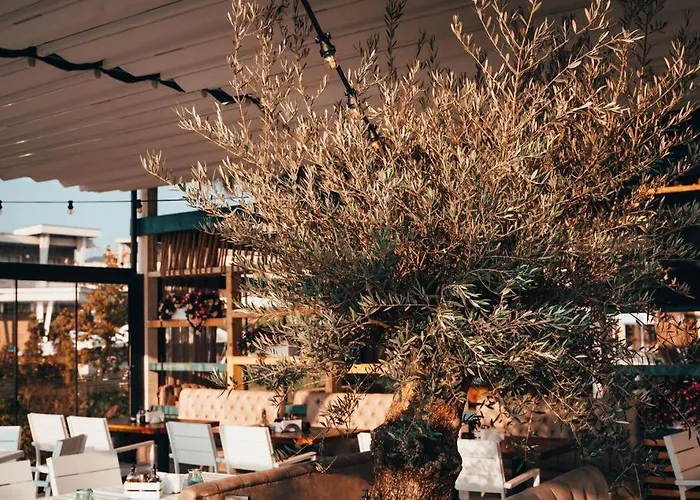 аполония а3 ап.502